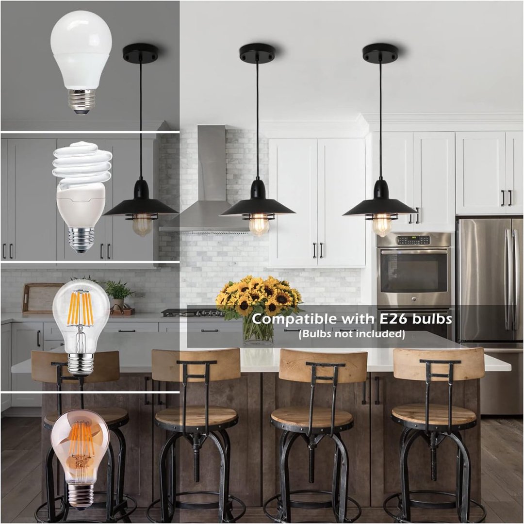 Matte Black Farmhouse Barn Pendant Light — Spring Cage — Single