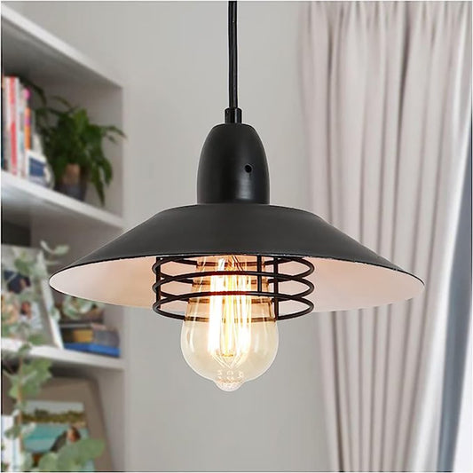 Matte Black Farmhouse Barn Pendant Light — Spring Cage — Single