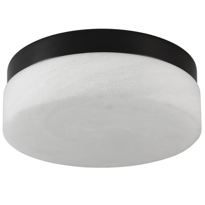 Matte Black Round LED Flush Mount Ceiling Light — 24W — 12 Inch