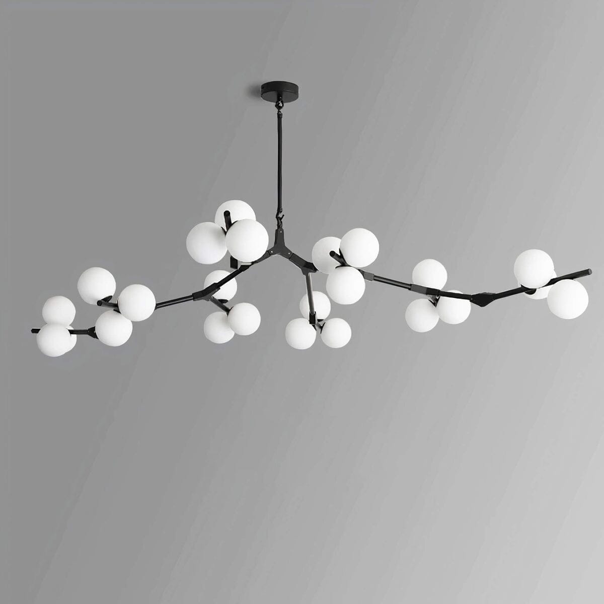 SYCAMORE - ZENDUCE - 12 Heads / Warm White / Black