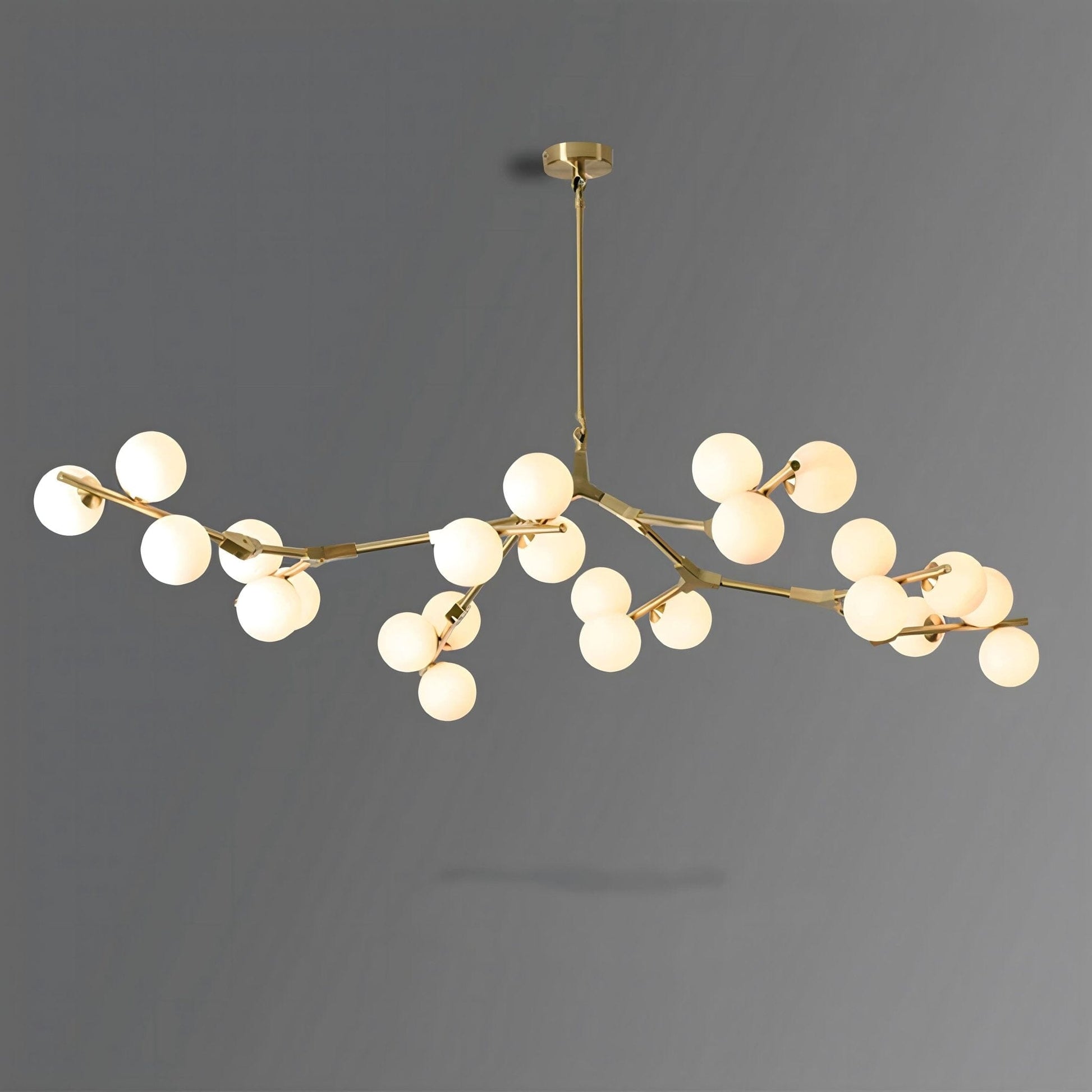 SYCAMORE - ZENDUCE - 24 Heads / Warm White / Gold