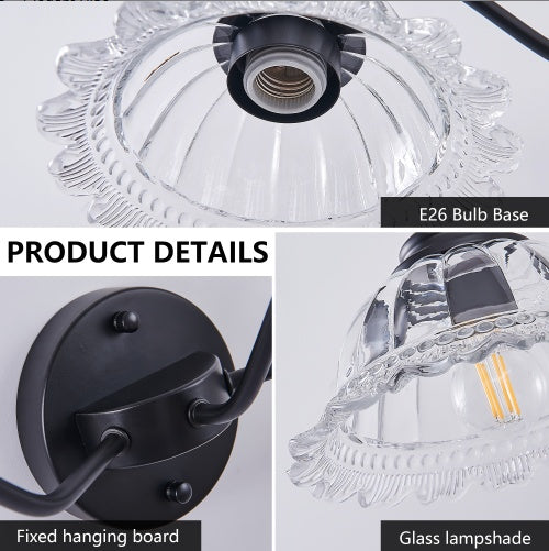 Black Vintage Glass Dome Vanity Wall Sconce — 2 Light — 20 Inch