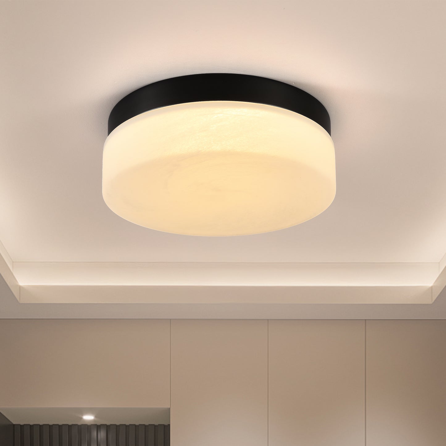 Matte Black Round LED Flush Mount Ceiling Light — 24W — 12 Inch