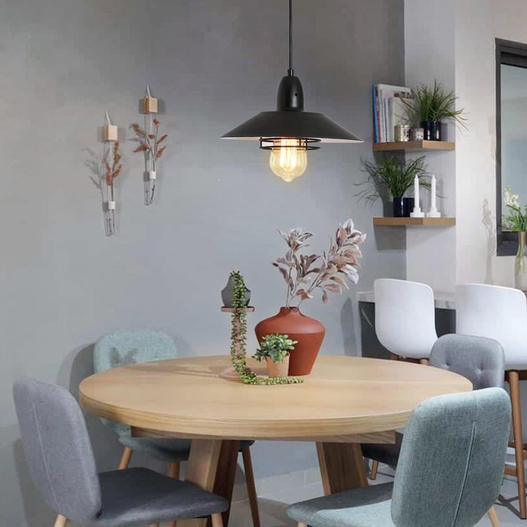 Matte Black Farmhouse Barn Pendant Light — Spring Cage — Single