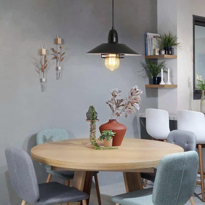 Matte Black Farmhouse Barn Pendant Light — Spring Cage — Single