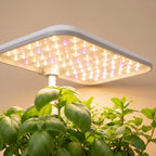 GrowNest 12-Pod Hydroponic Garden