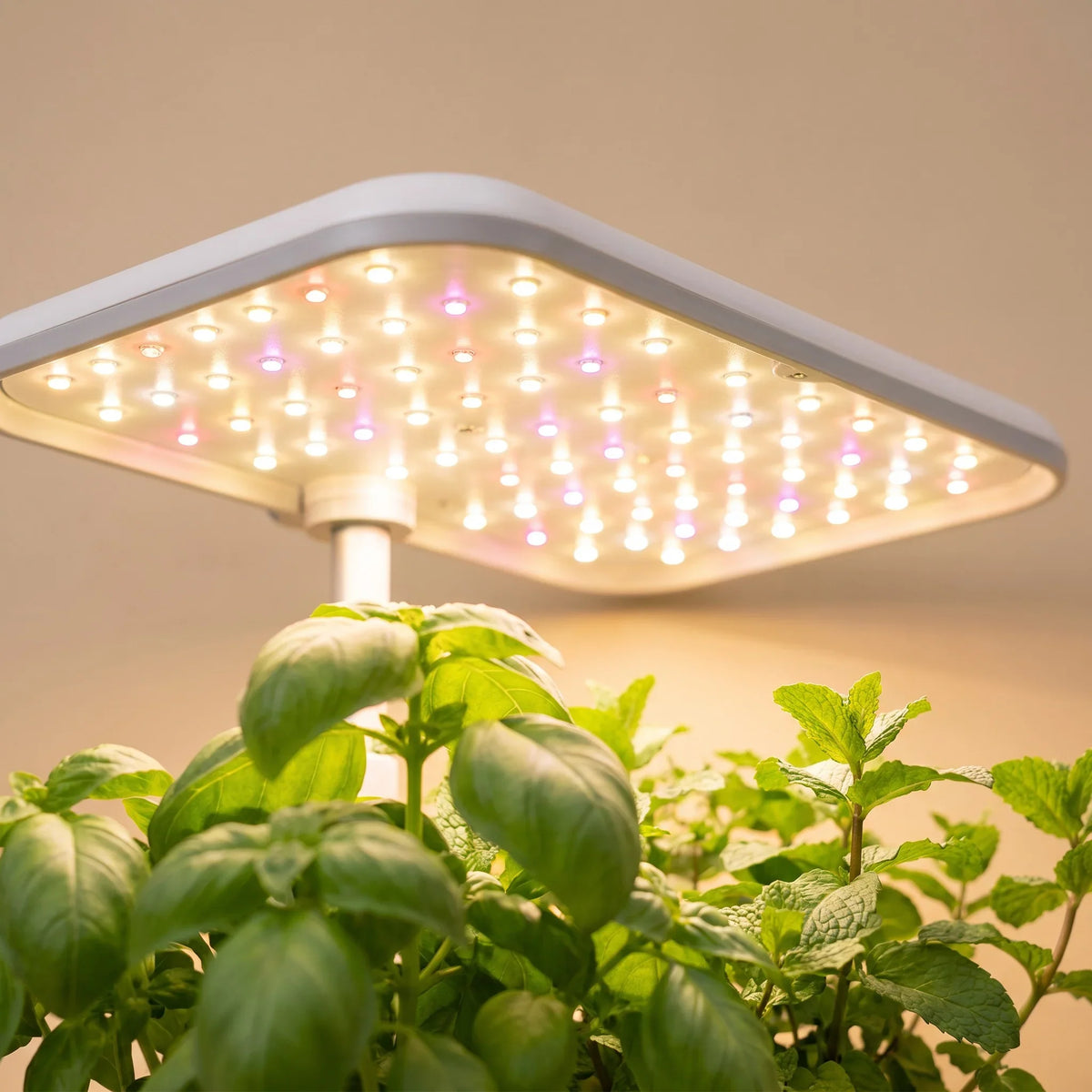 GrowNest 12-Pod Hydroponic Garden