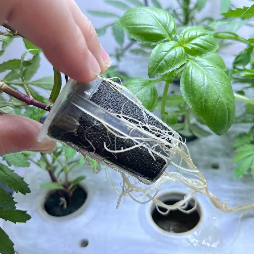 GrowNest 12-Pod Hydroponic Garden